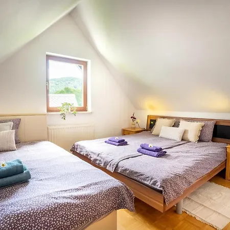 View Lenart Apartment Bohinj