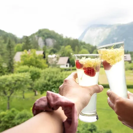 View Lenart Apartmán *