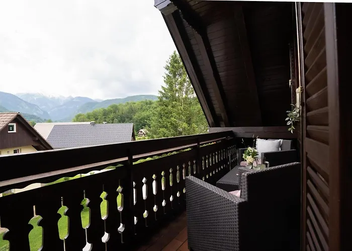 View Lenart * 博希尼