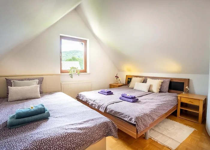 View Lenart 公寓 博希尼