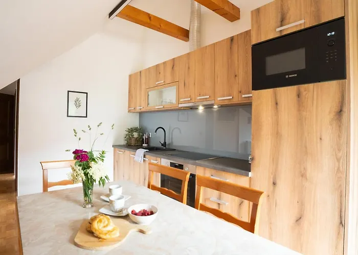 View Lenart 公寓 *