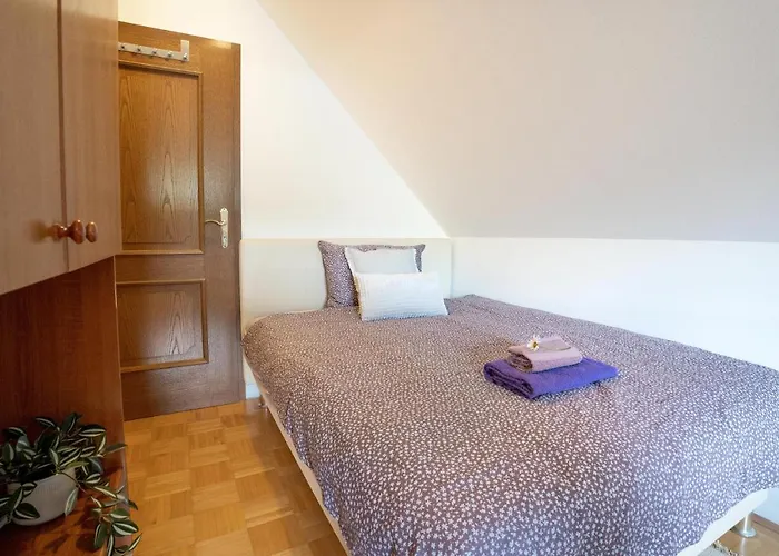 公寓 View Lenart 博希尼