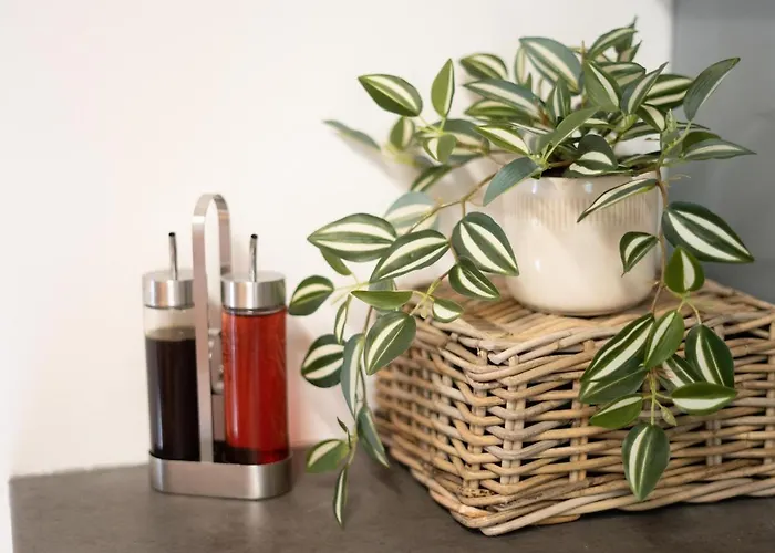 View Lenart * 博希尼